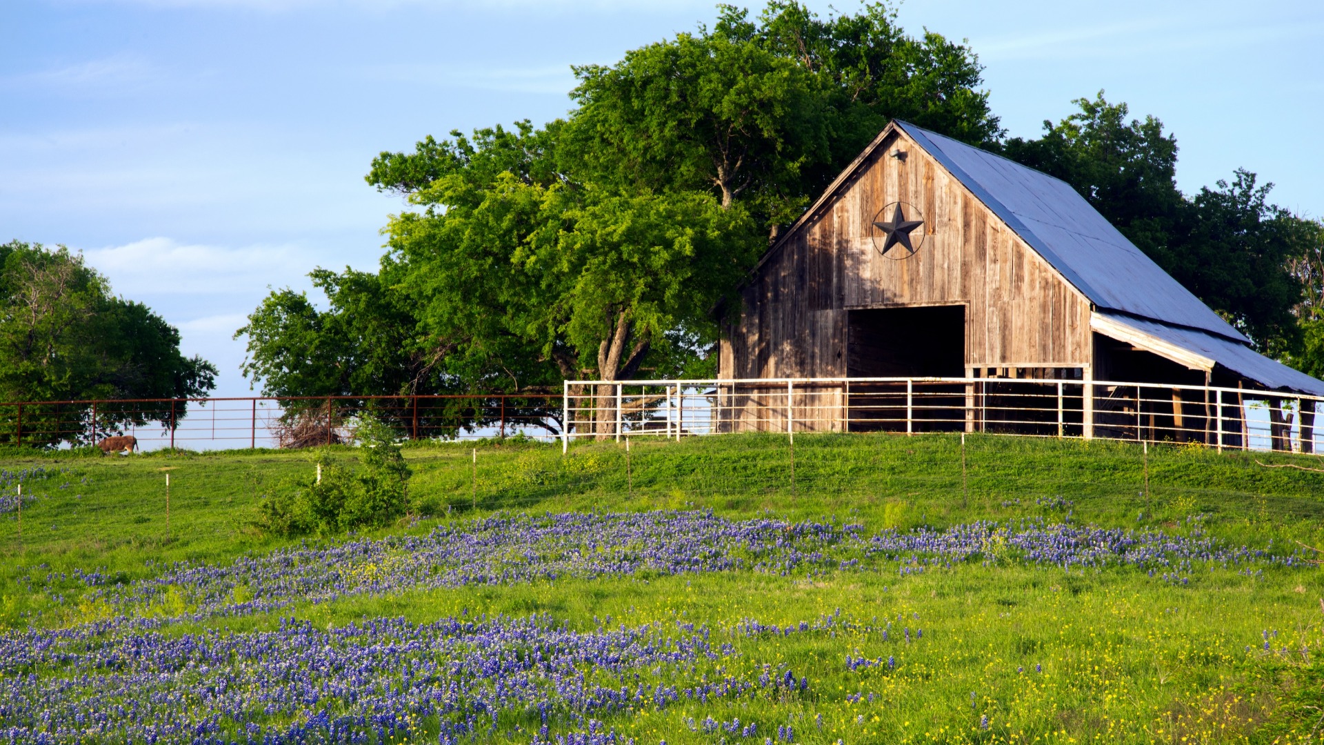 New Homes for Sale in Ennis, TX Home Builders in Ennis, TX Legend Homes