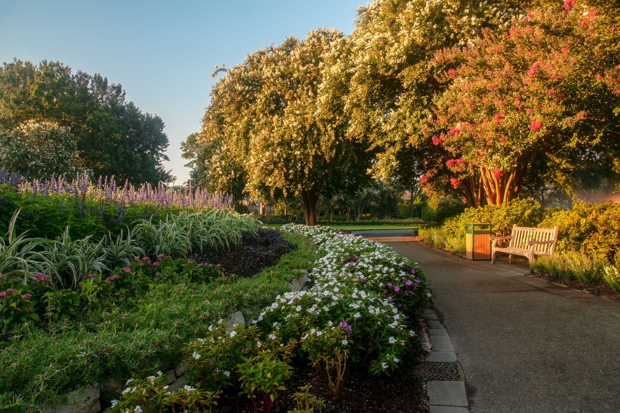 Dallas Arboretum