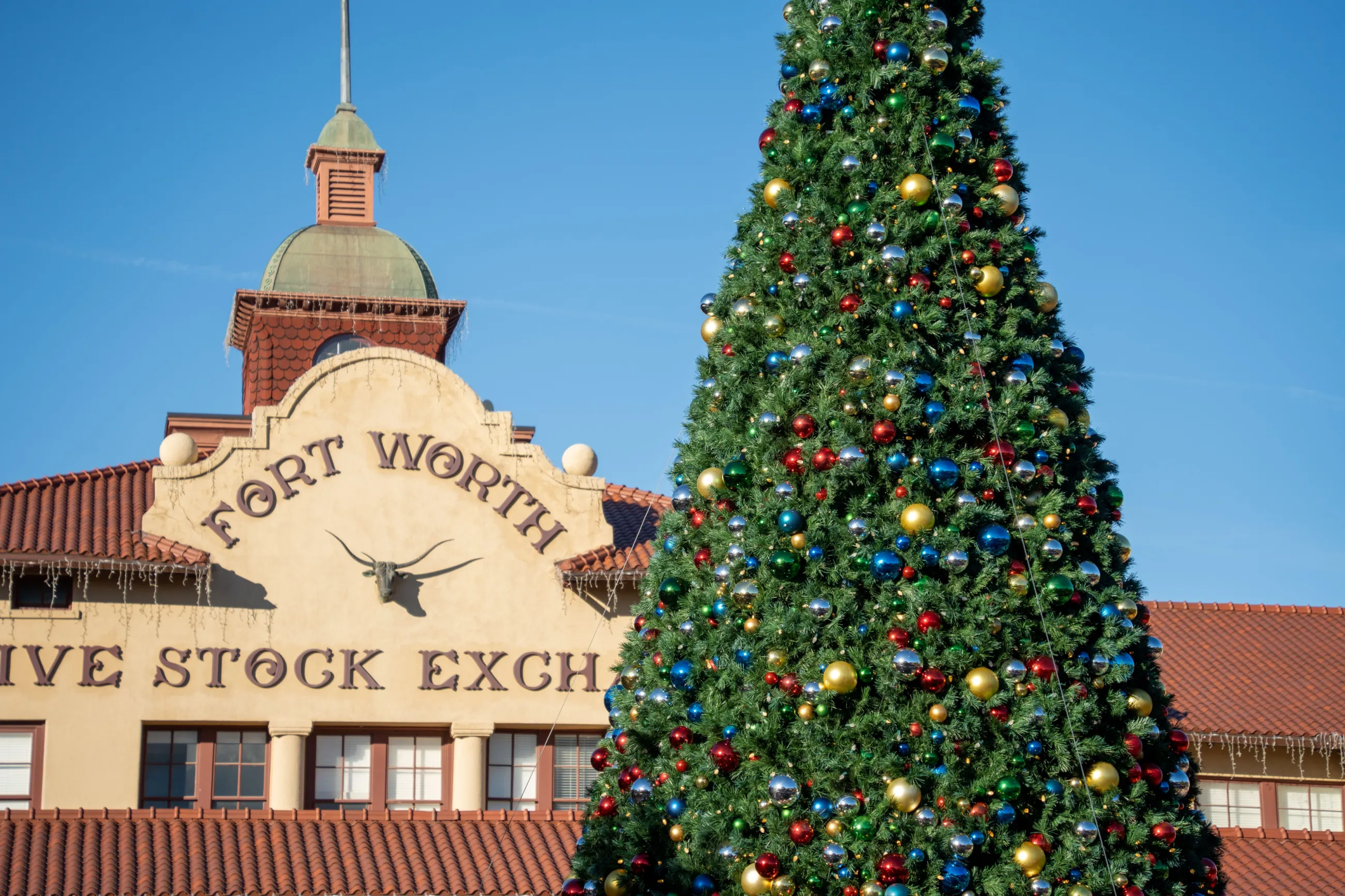 Fort Worth Stockyards Christmas Tree